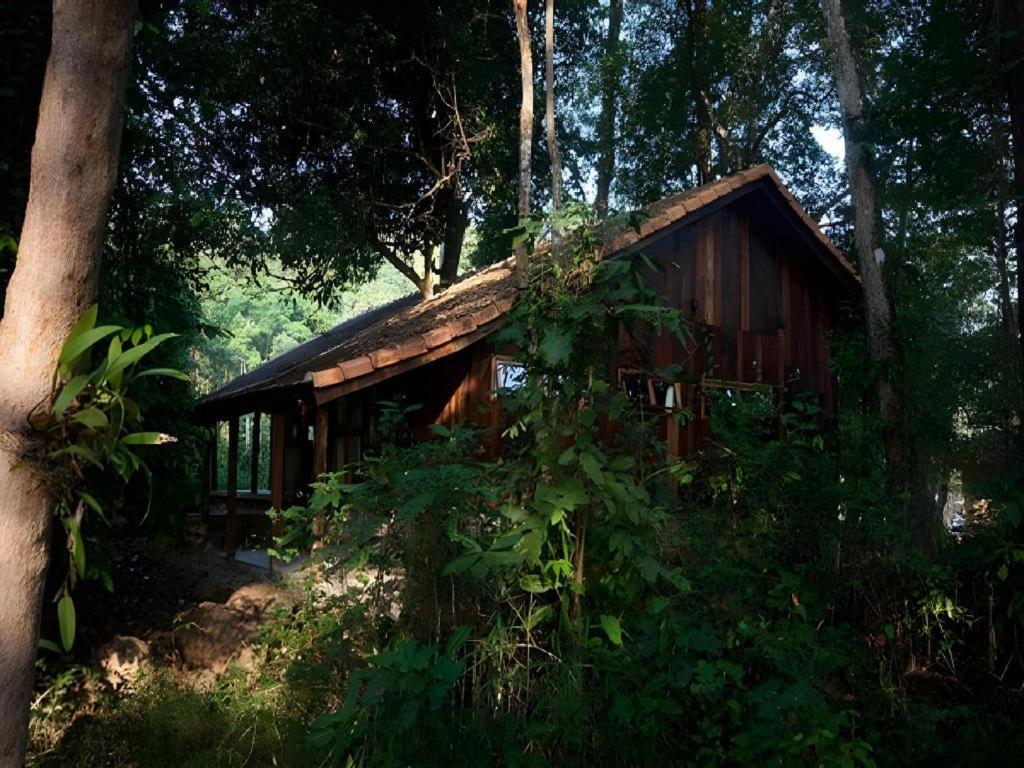 Forest Floor Lodge Cat Tien Exterior foto